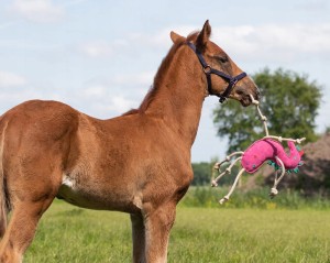 Qhp zabawka dla koni Unicorn