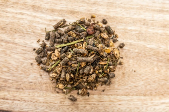 St. Hippolyt Fohlengold Musli 20 kg