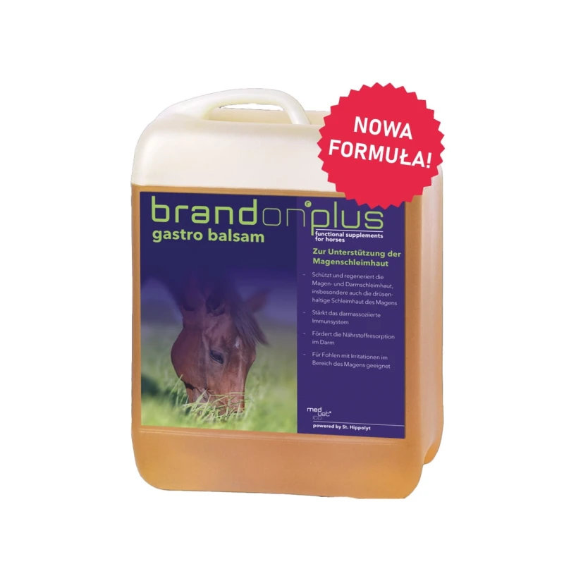 St. Hippolyt Brandon+ Gastro Balsam - balsam na wrzody 2,5 l