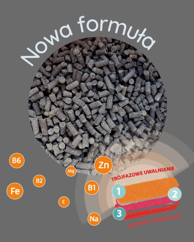 St. Hippolyt Mebio Kieselgur MSM+WIT. C trójfazowe wsparcie aparatu ruchu - 1 kg