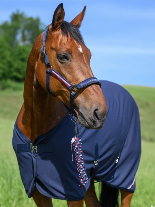 Tommy Hilfiger Equestrian kantar z uwiązem - Desert Sky\