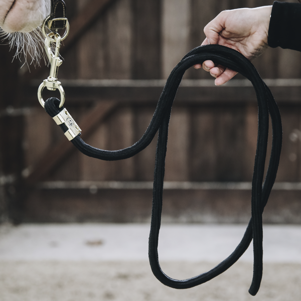 Kentucky uwiąz Basic - Black
