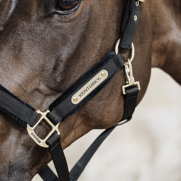 Kentucky kantar Velvet - Black