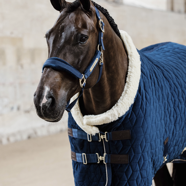 Kentucky kantar Velvet - Navy