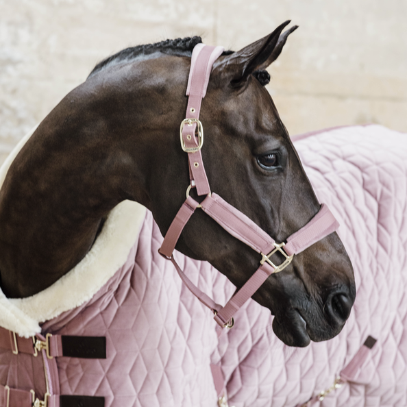 Kentucky kantar Velvet - Old Rose