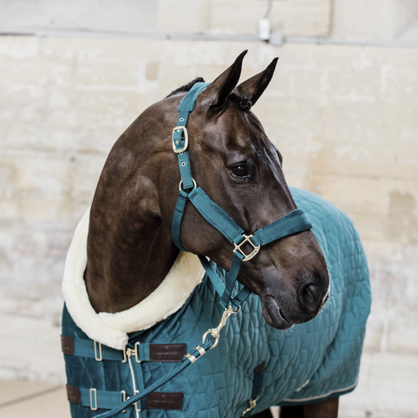 Kentucky kantar Velvet - Emerald