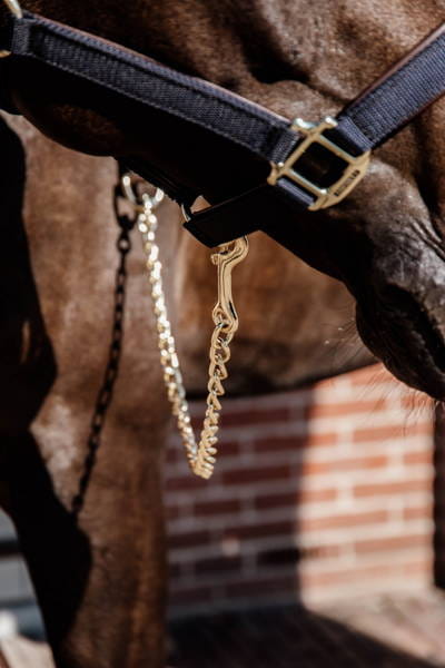 Kentucky skórzany uwiąz z łańcuszkiem