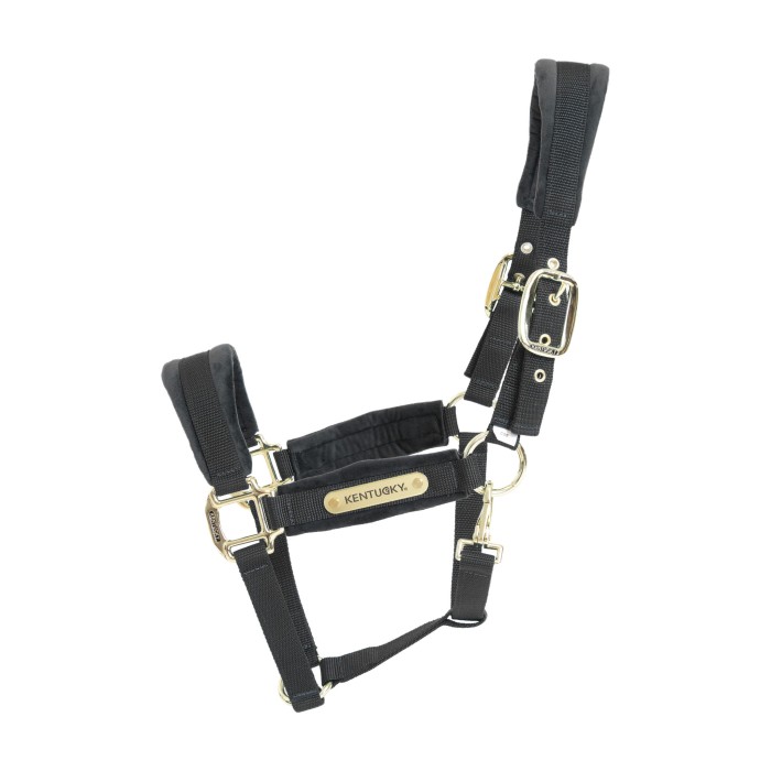 Kentucky kantar Velvet - Black