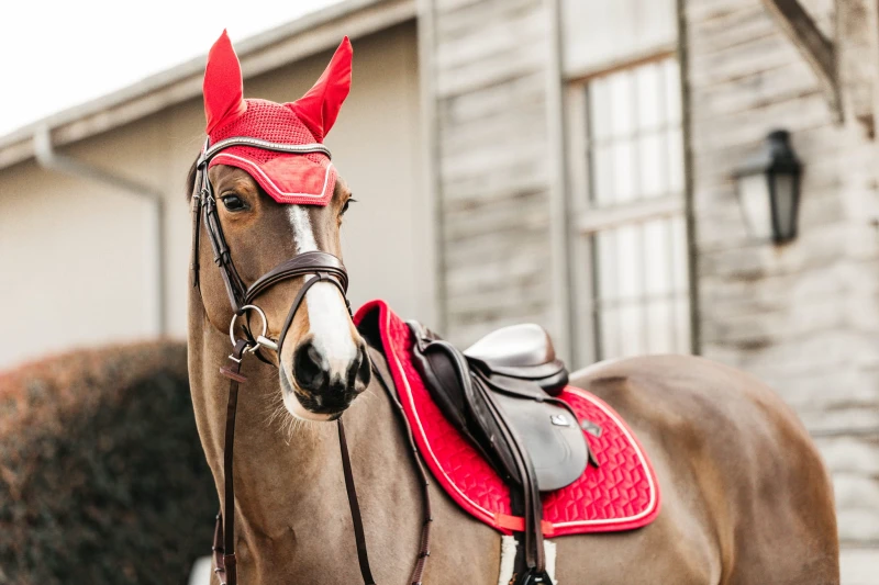 Kentucky czaprak Velvet - Red