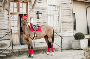Kentucky czaprak Velvet - Red