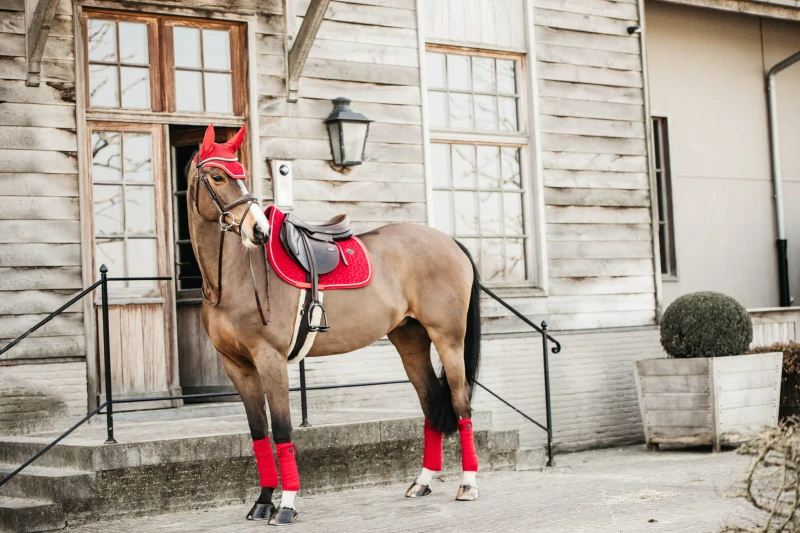 Kentucky czaprak Velvet - Red