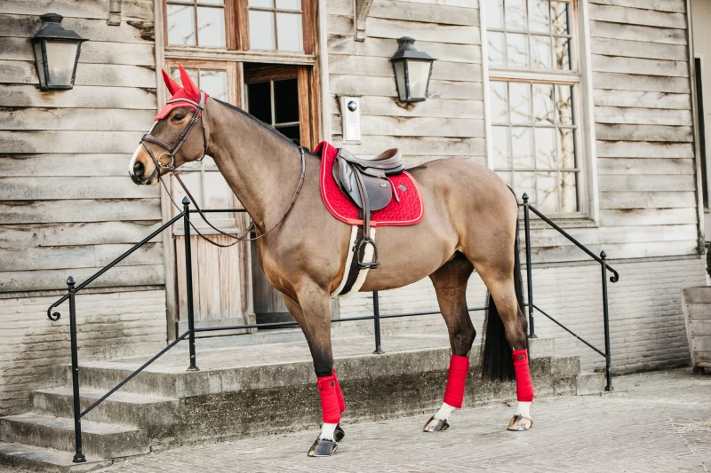 Kentucky czaprak Velvet - Red