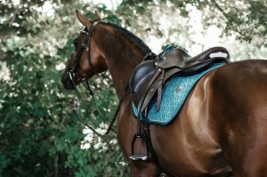 Kentucky czaprak Velvet - Emerald