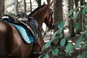 Kentucky czaprak Velvet - Emerald