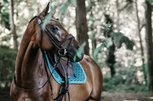 Kentucky czaprak Velvet - Emerald