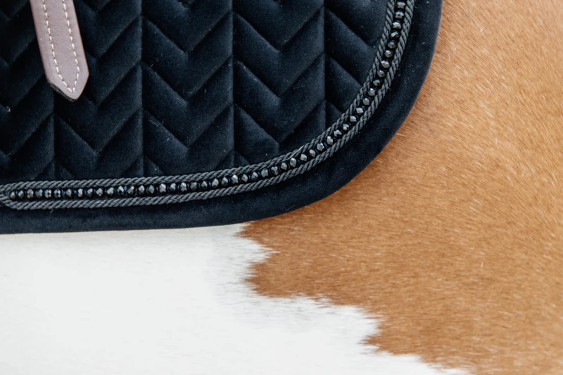 Kentucky czaprak Velvet Pearls - Black