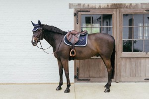 Kentucky czaprak Plaited Cord - Navy