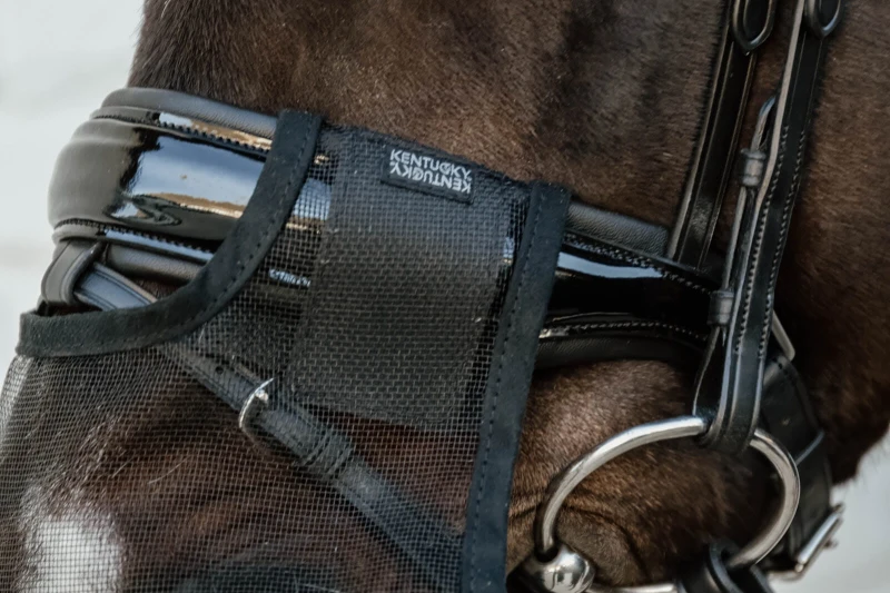 Kentucky maska na nos - Black