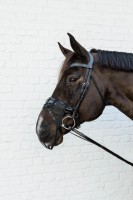 Kentucky maska na nos - Black