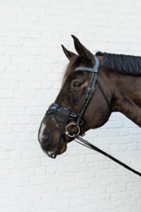 Kentucky maska na nos - Black