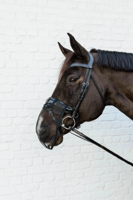 Kentucky maska na nos - Black