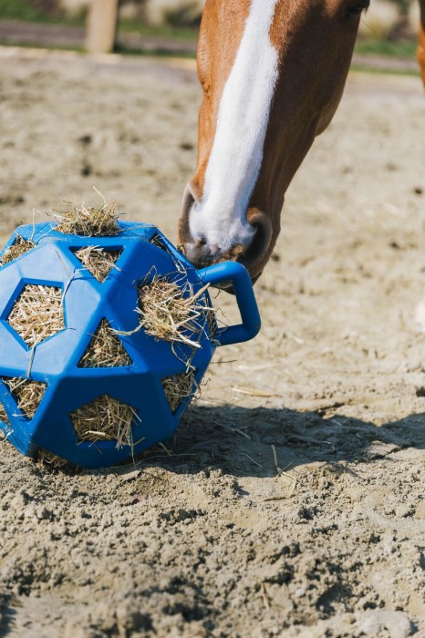 Kentucky piłka na siano Relax Horse - Royal Blue