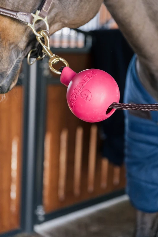 Kentucky gumowa piłka ochronna Lead & Wall Protection - Pink