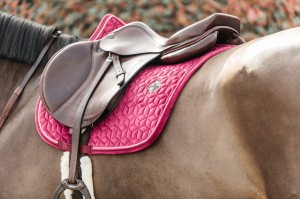 Kentucky czaprak Velvet - Fuchsia