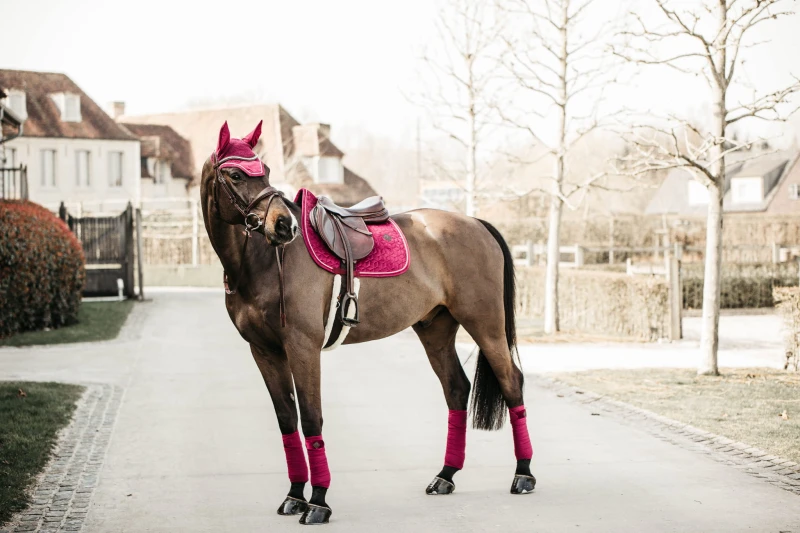 Kentucky czaprak Velvet - Fuchsia
