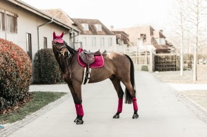 Kentucky czaprak Velvet - Fuchsia