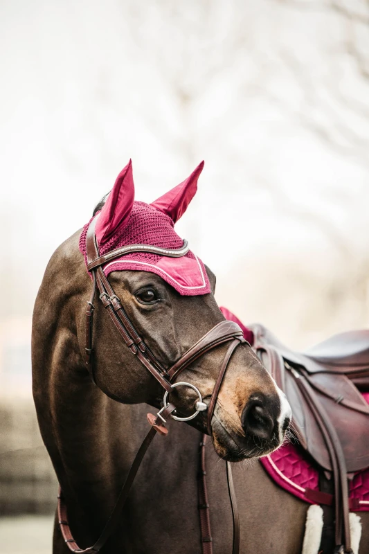 Kentucky nauszniki Wellington Velvet - Fuchsia