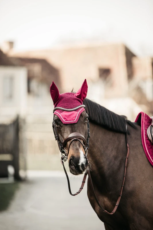 Kentucky nauszniki Wellington Velvet - Fuchsia
