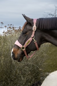 Kantar Velvet Unicorn Glitter