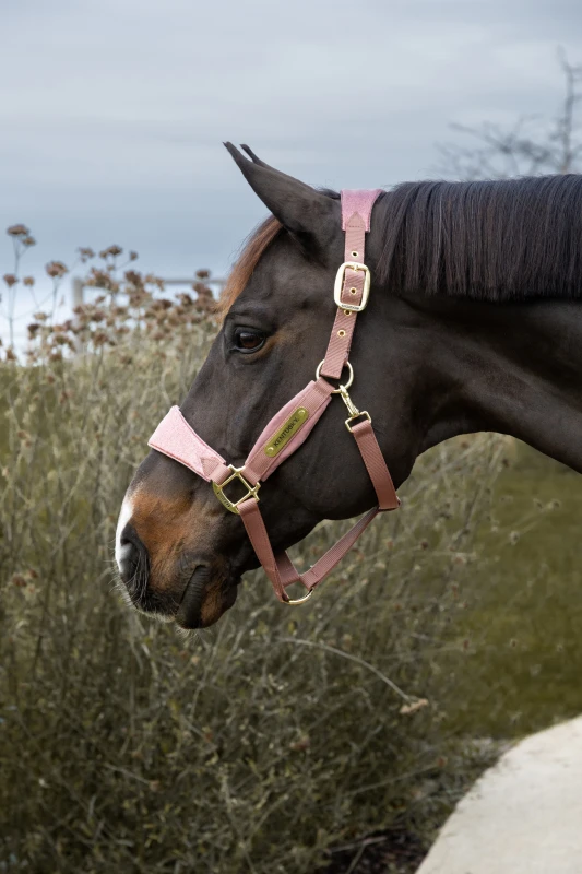 Kantar Velvet Unicorn Glitter
