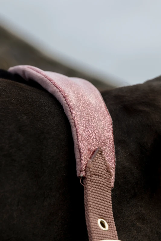 Kantar Velvet Unicorn Glitter