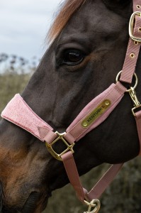 Kantar Velvet Unicorn Glitter