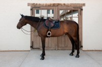 Kentucky czaprak velvet - Dark Navy