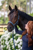 Eskadron kantar Sparkle Double Pin Classic Sports 26 S/S - Ocean