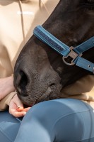 Eskadron kantar Softshell Jewel Double Pin Classic Sports 26 S/S - Ocean