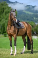 Tommy Hilfiger Equestrian Czaprak Stanford - Ash