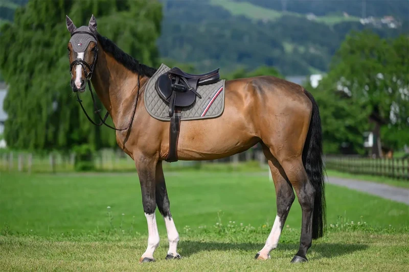 Tommy Hilfiger Equestrian Czaprak Stanford - Ash