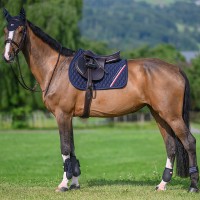 Tommy Hilfiger Equestrian ochraniacze przednie Champion