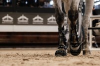 Veredus ochraniacze przednie Carbon Gel Absolute - Czarny