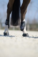 Veredus ochraniacze tylne Olympus Absolute – czarne