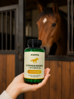 AleVita Cytrynian Magnezu 800 mg + Witamina B6 667 µg