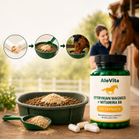 AleVita Cytrynian Magnezu 800 mg + Witamina B6 667 µg
