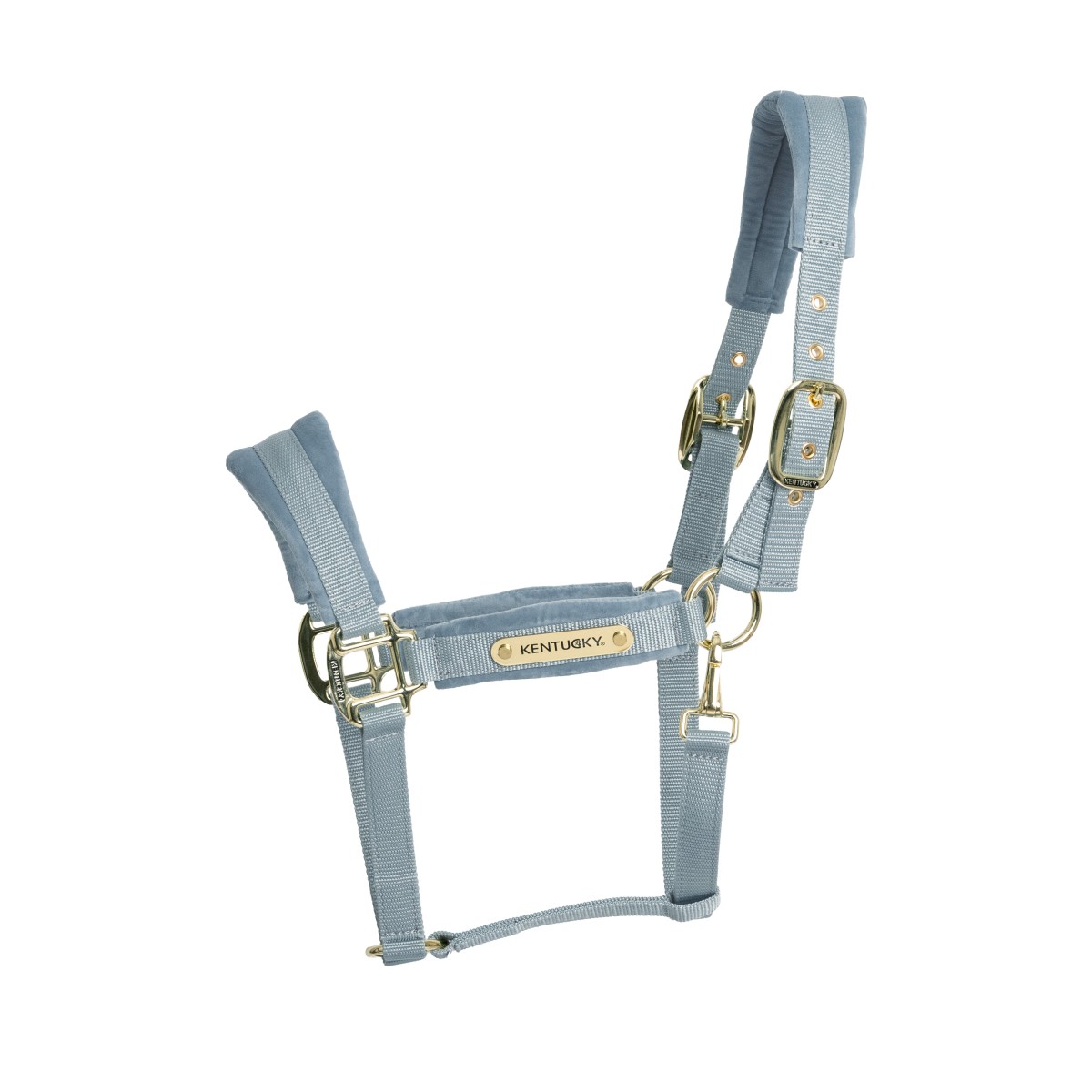 Kentucky kantar Velvet - Light Blue