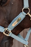 Kentucky kantar Velvet - Light Blue