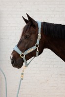 Kentucky kantar Velvet - Light Blue