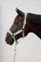 Kentucky kantar Velvet - Light Blue